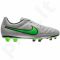 Futbolo batai  Nike Tiempo Rio II FG 631287-030